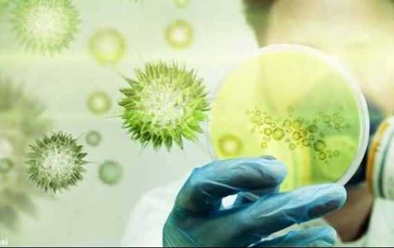 Virus Korona Kembali Telan Korban di Arab Saudi